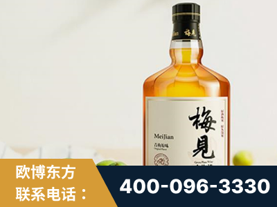 哈密-梅见青梅酒